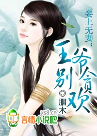 妾上无妻：王爷别贪欢